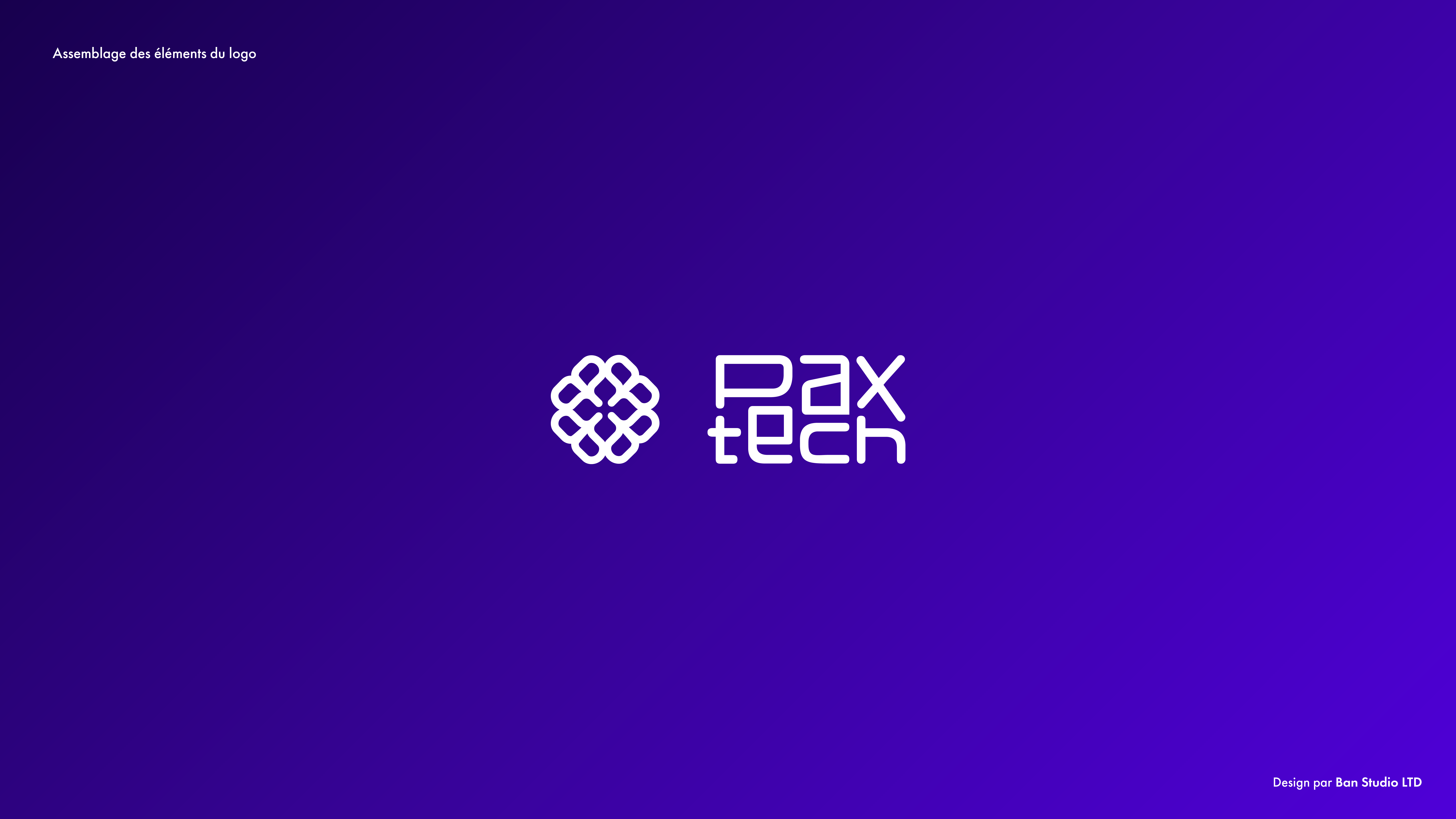 PAXTECH_VISUAL-IDENTITY_3-03