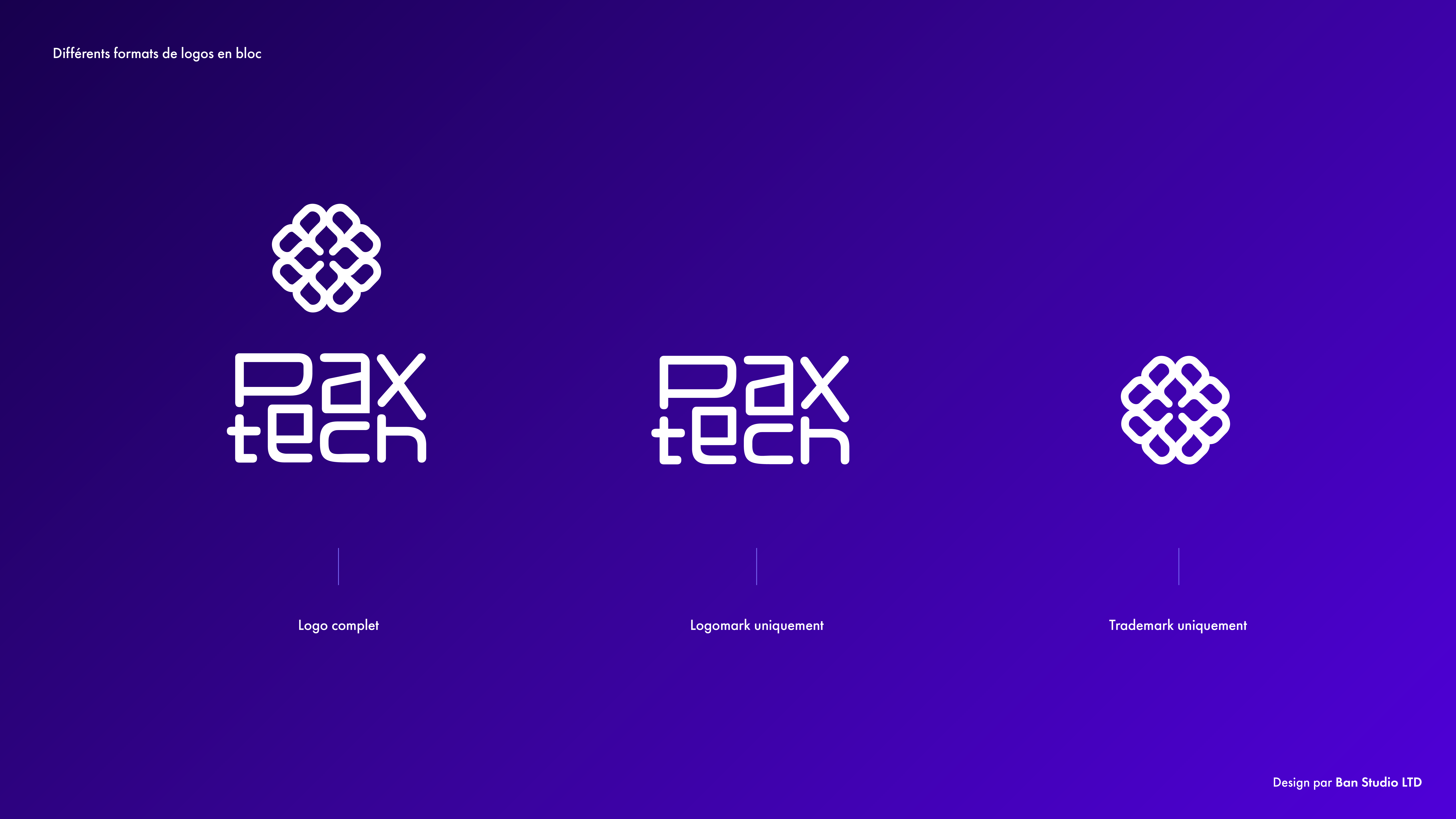 PAXTECH_VISUAL-IDENTITY_3-08-1