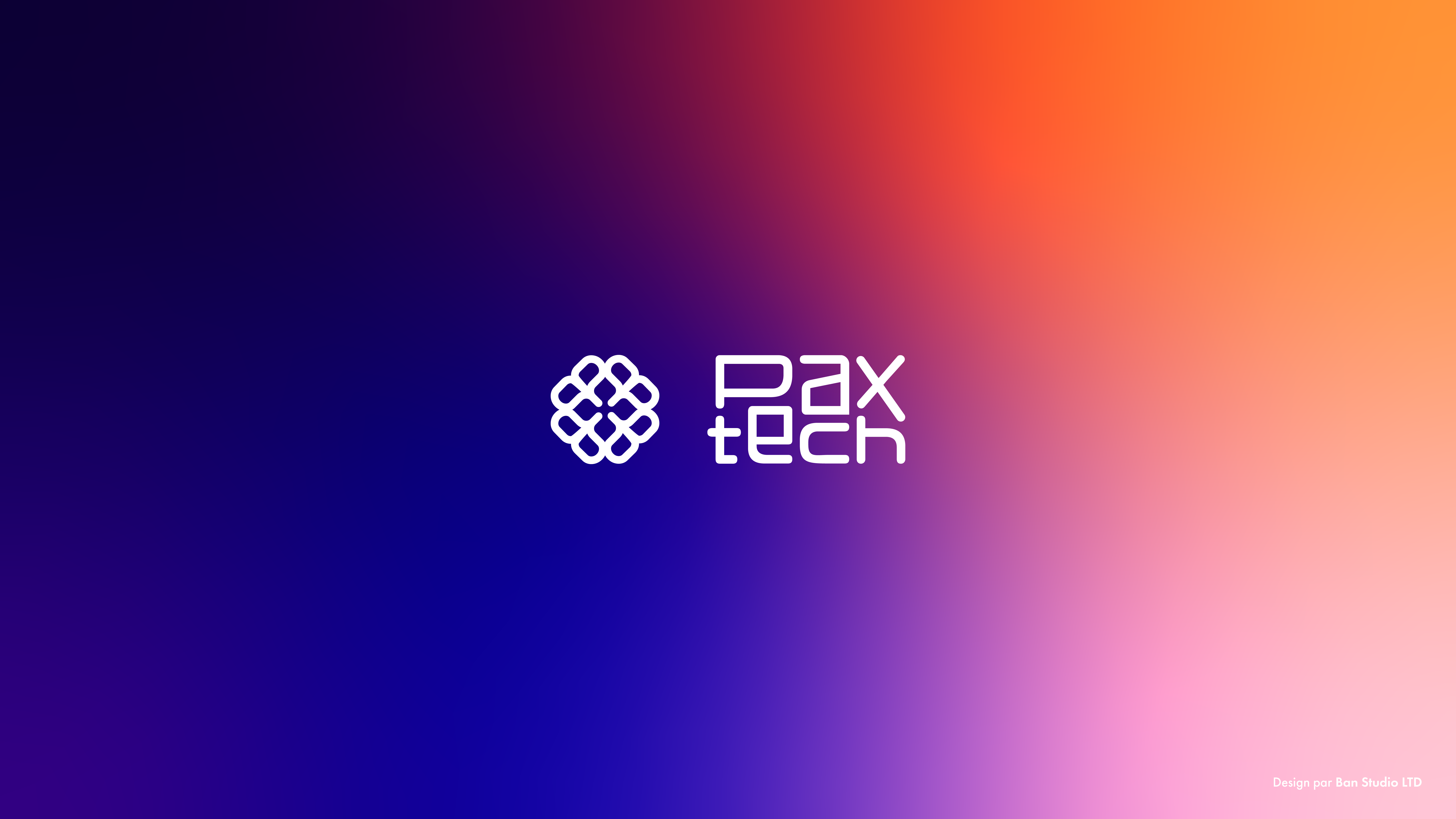 PAXTECH_VISUAL-IDENTITY_3-12